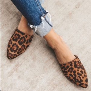 Ccocci leopard slides NWOT